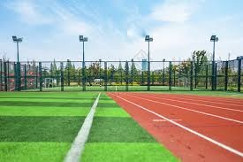 博彩行业的财政替代效应（博彩业的财政替代作用）