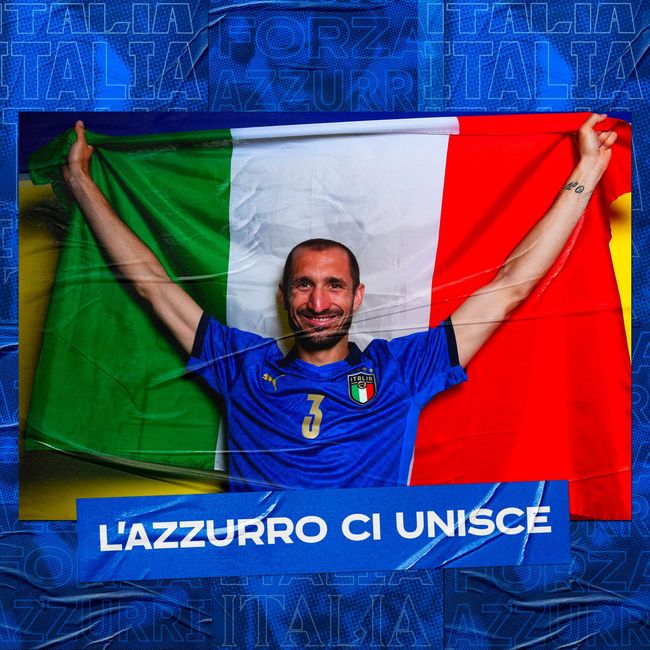 初步的媒体 初步的媒体