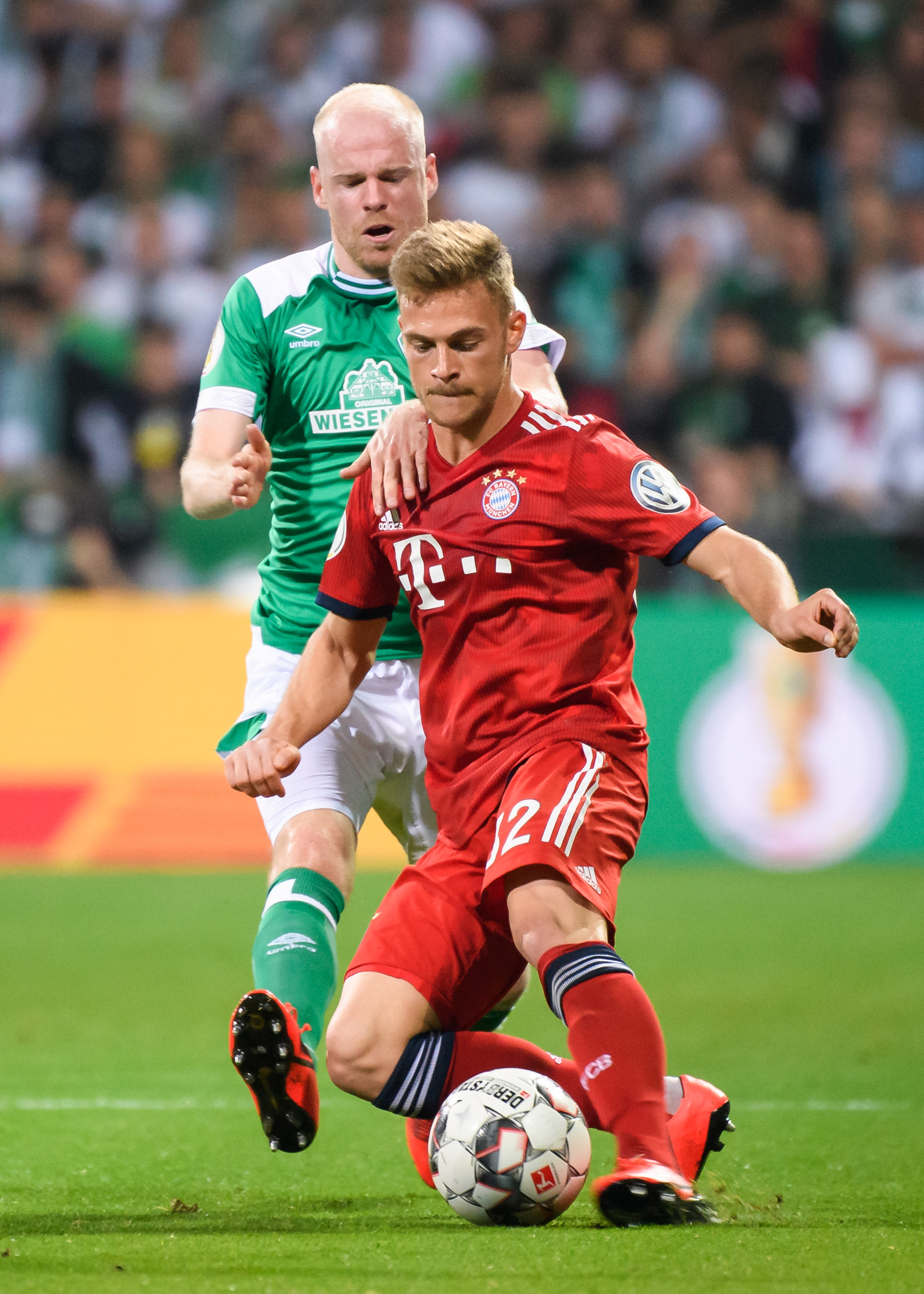 这种惯性在 这种惯性在