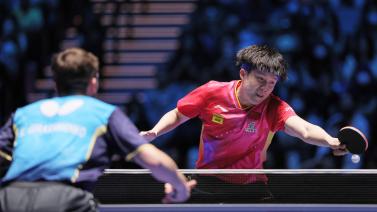 这不仅展示 这不仅展示