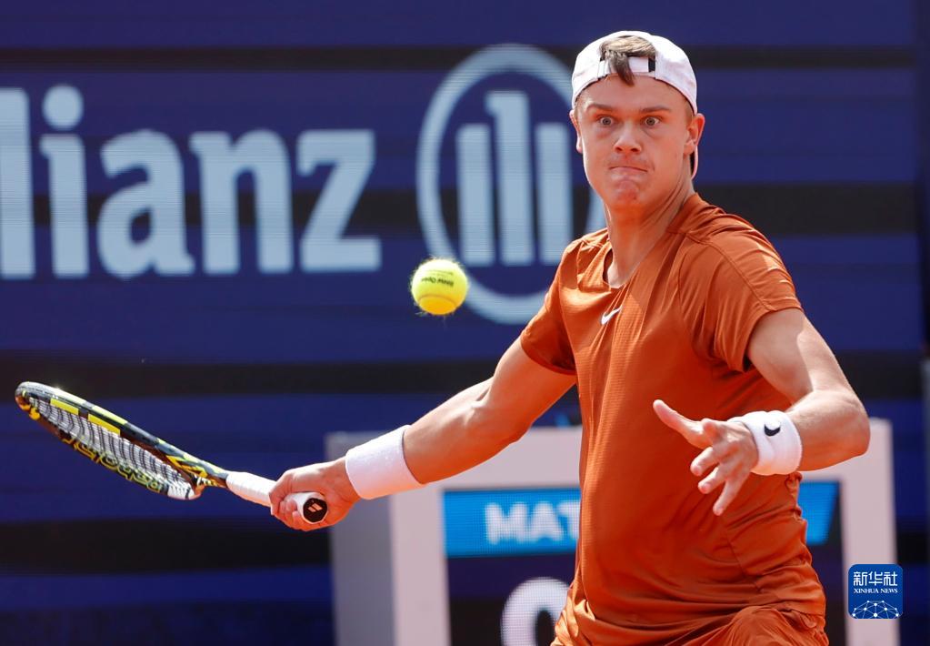 在国际及国 在国际及国