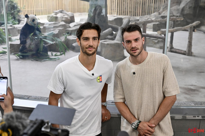 效果更好 效果更好